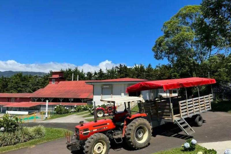 Doka State Coffee Farm