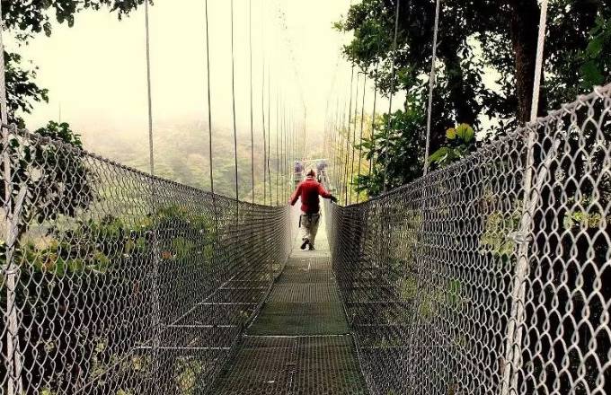 Monteverde Cloudforest in the Hanging Bridges Hiking